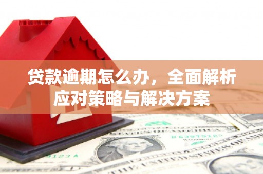 蓝田贷款逾期怎么办，全面解析应对策略与解决方案
