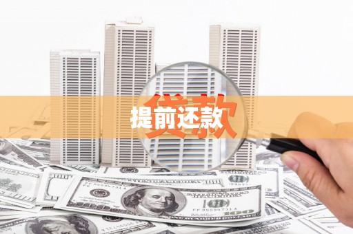蓝田提前还款