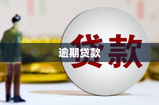 蓝田逾期贷款